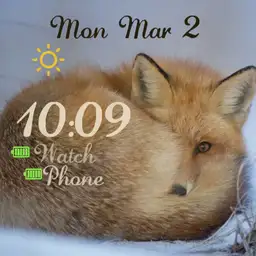 Winter Foxy