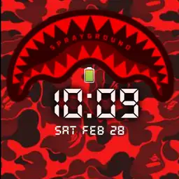 sprayground