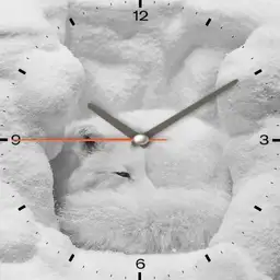 Nspz_73 Arctic theme