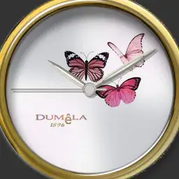 Dumla butterfly