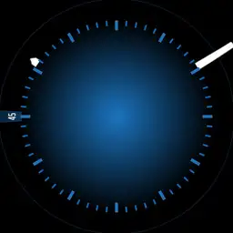 blue precise