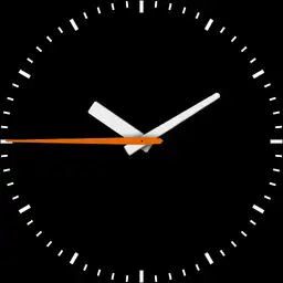 Sample watch