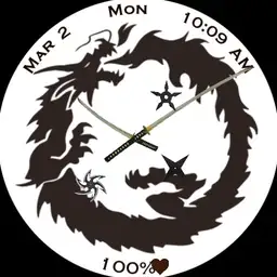 Dragon vs Ninja
