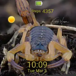 Brazilian Yellow Scorpion Copy