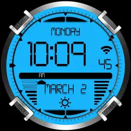 Digital Titanium Watch Face RLW