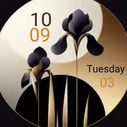Flowers collection : Iris