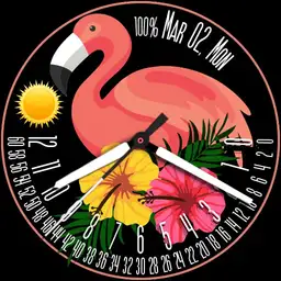Flamingo