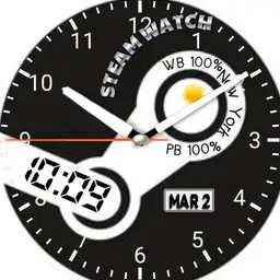 Steam watch