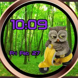 owl on a scoot Copy