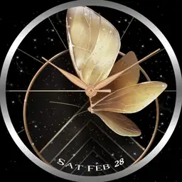butterflyflower