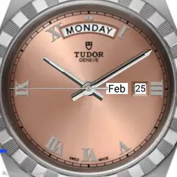 Tudor watch
