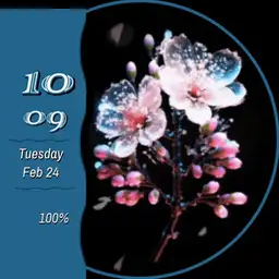Buds, Blossoms, Blooms & Petals