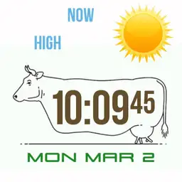 cowrun