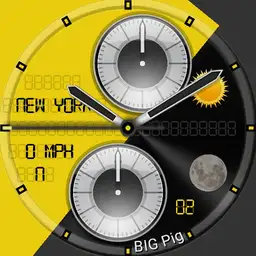 BIG PIG - Dual dial yingy thingy