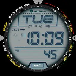 Digital Diver Copy