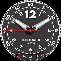 Brute FIELD MASTER Military Field Watch Lume