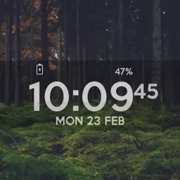 Forest vibes