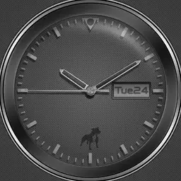 Dog gone time