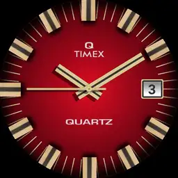 Q Timex 1972 Reissue Watch Colours