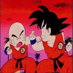 Goku vs krillin