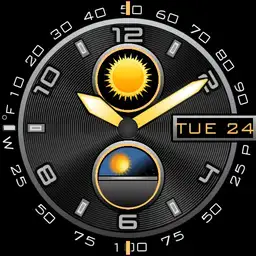 JSM Information Bezel 2.1d