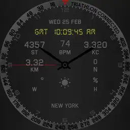 connected pro special edition gear s3