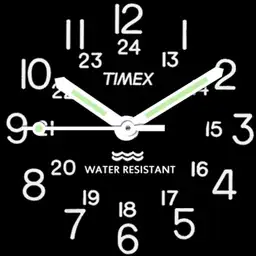 Timex Military Field Watch - No Bezel Edition v.2.0
