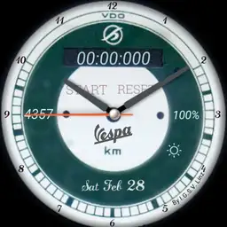 I.G.S.V. Linz Vintage Vespa