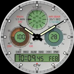 CJW 100 memory watch