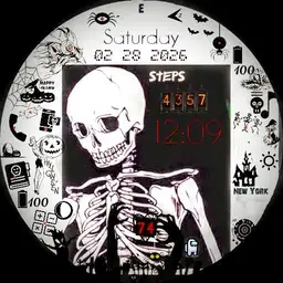 Skeleton B