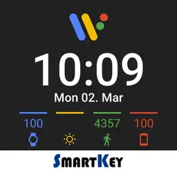 Wear OS 2.0 Copy