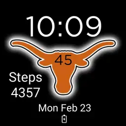 Texas Longhorn