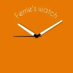Ferrie,s watch Copy