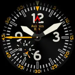 BW Avionics