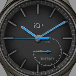 IQ style