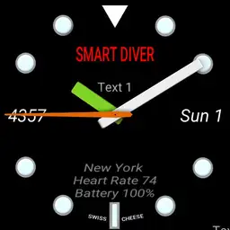Smart Diver Copy