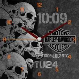 Harley Davidson by niekoss