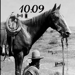 Texas Cowboy