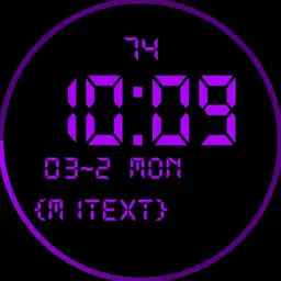 TicWatch Pro Digital