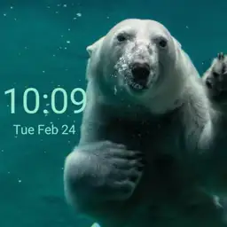 White Bear watch