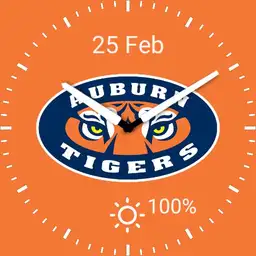 Auburn Tiger Eyes