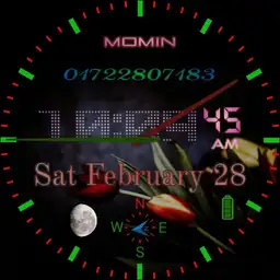 My Watch Copy