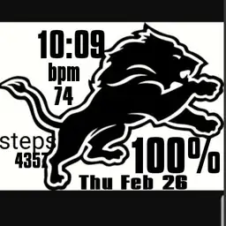 Detroit lions