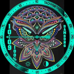 The owl