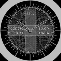 BnW Gears