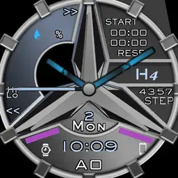 H4