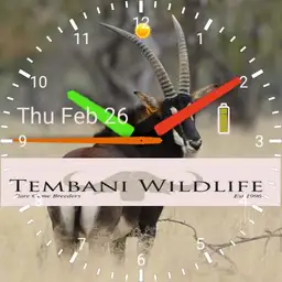 Variani Watch