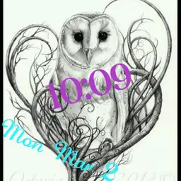 owl