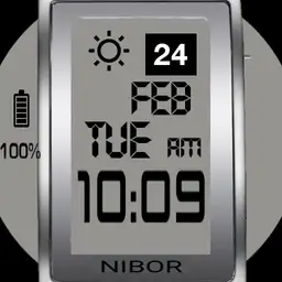 oblong watch