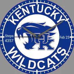 UK Wildcats 1